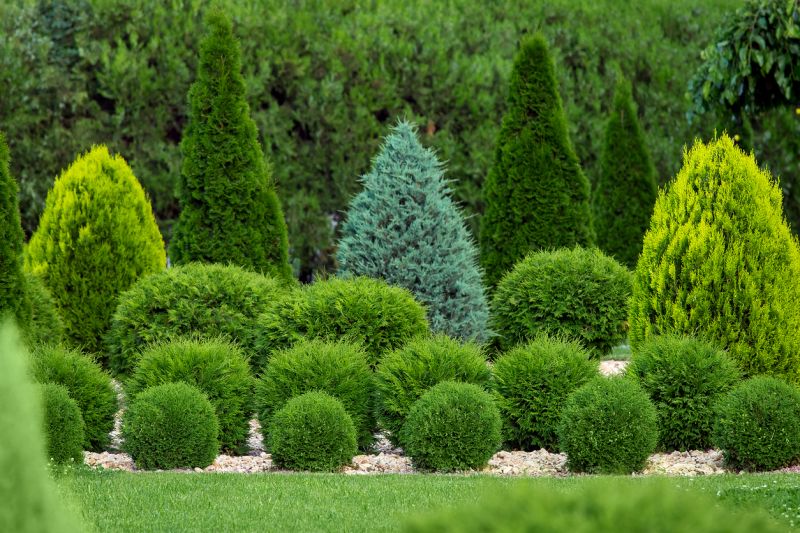 Mature Trees and Shrubs