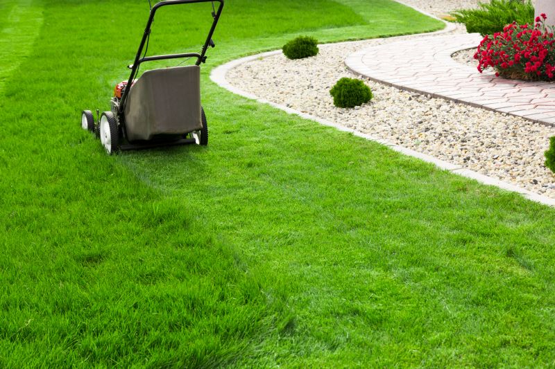 Lawn Maintenance Experts