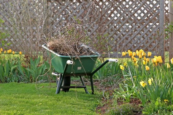 Flower Bed Cleanup Service in Fort Myers