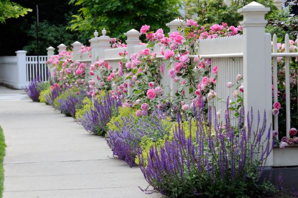 Garden Handyman Service in Fort Myers