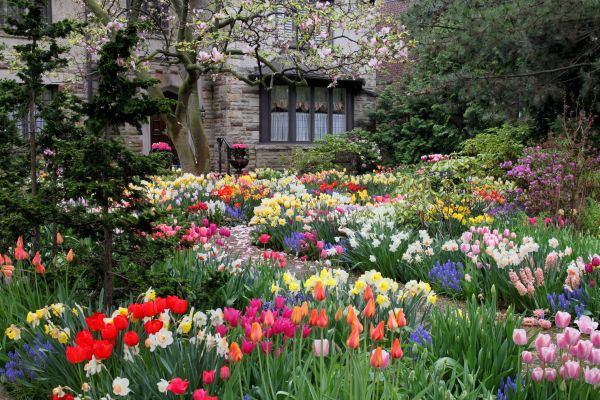 Garden Maintenance Service in Fort Myers