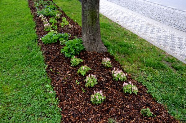 Mulch Replacement Service in Fort Myers