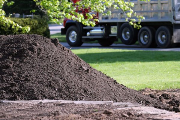Yard Dirt Delivery in Fort Myers
