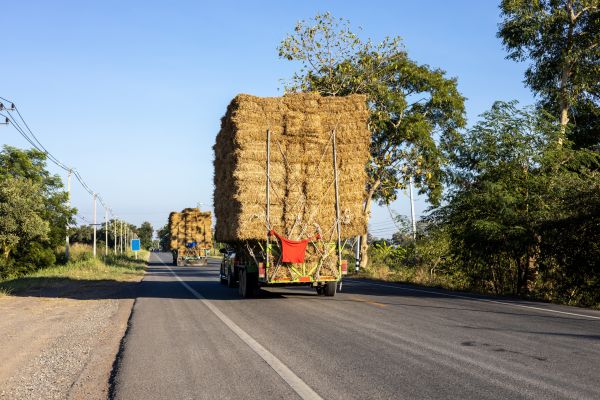 Pine Straw Delivery in Fort Myers