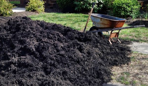 Black Mulch Delivery in Fort Myers