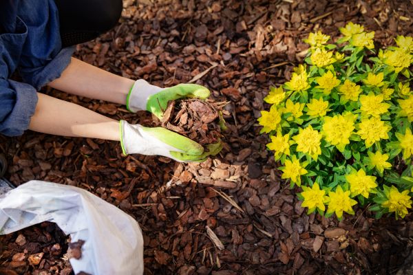 Garden Mulching in Fort Myers
