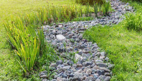 River Rock Garden Installation in Fort Myers