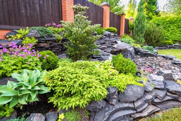 Landscape Remodeling in Fort Myers