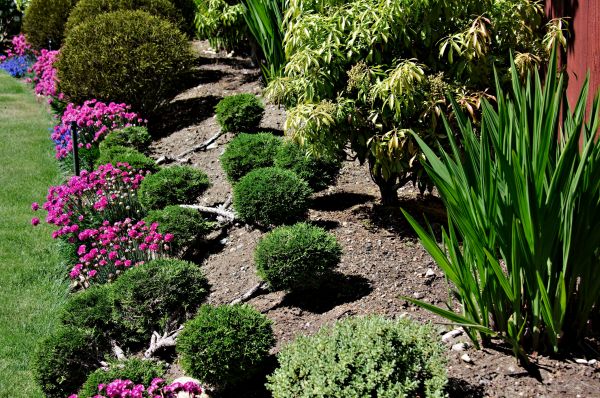 Residential Gardening in Fort Myers