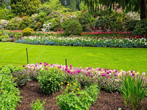 Residential Landscape Design in Fort Myers
