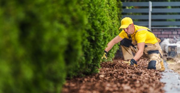 Cypress Mulch Installation in Fort Myers
