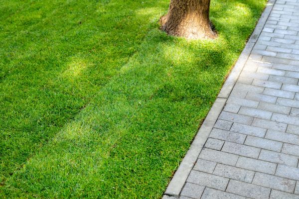 Border Stone Installation in Fort Myers