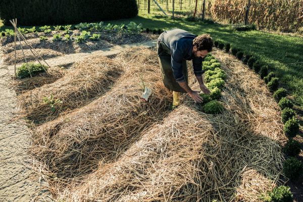 Straw Mulching Service in Fort Myers