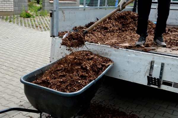 Landscape Mulch Delivery in Fort Myers