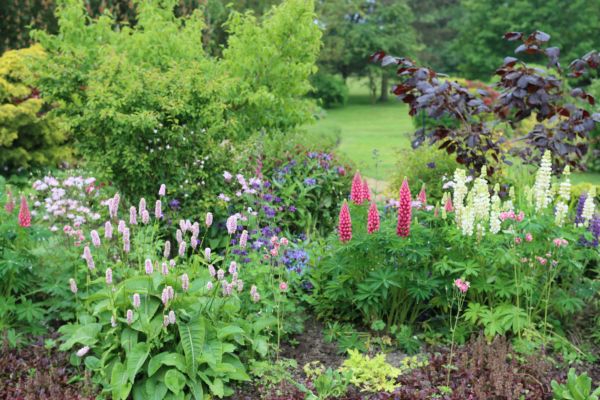 Flower Bed Planting in Fort Myers