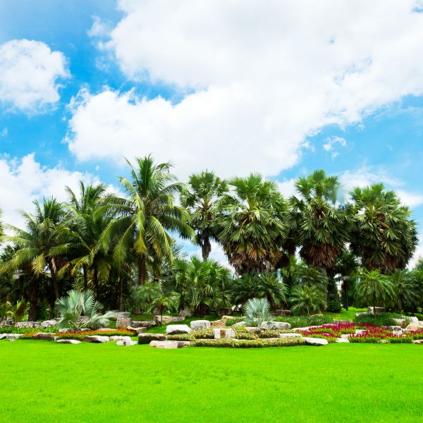 Tropical Landscaping in Fort Myers