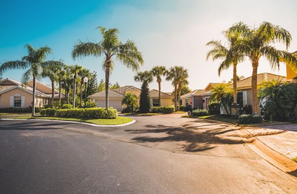Palm Tree Landscaping in Fort Myers