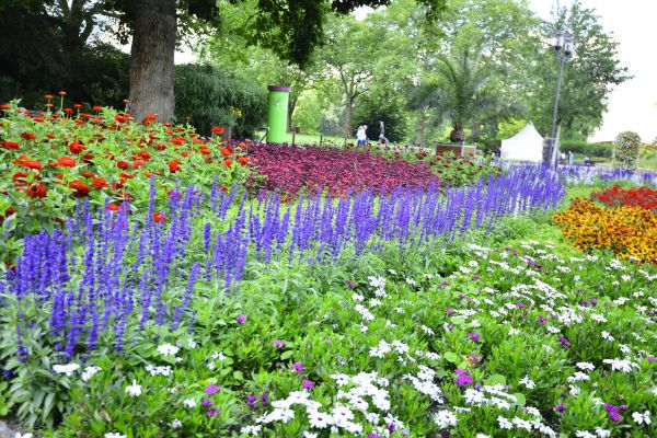 Perennials Planting in Fort Myers