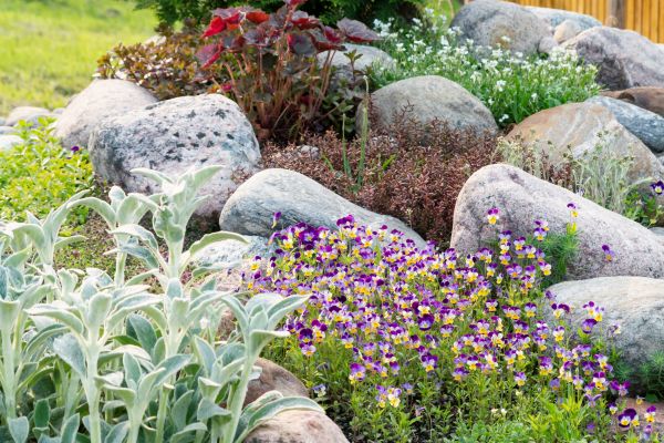 Rock Garden Installation in Fort Myers