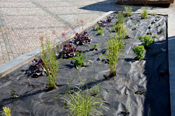 Landscape Fabric Installation in Fort Myers