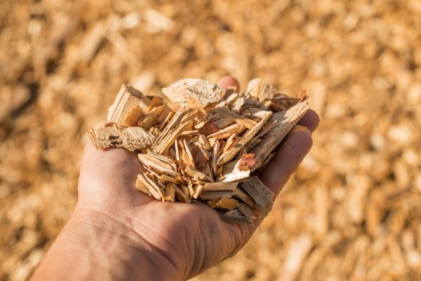 Wood Chips Spreading in Fort Myers