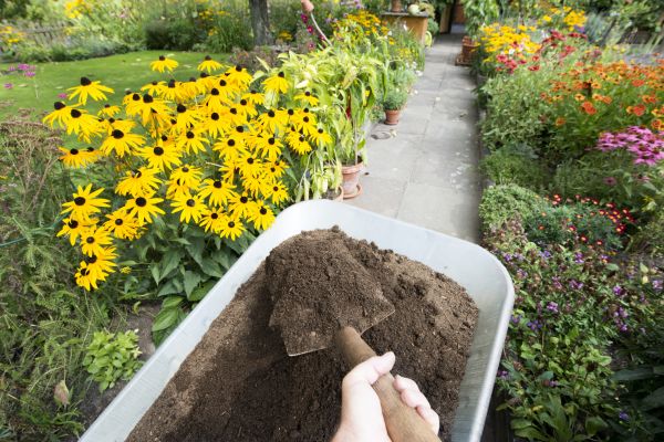 Topsoil Replacement in Fort Myers