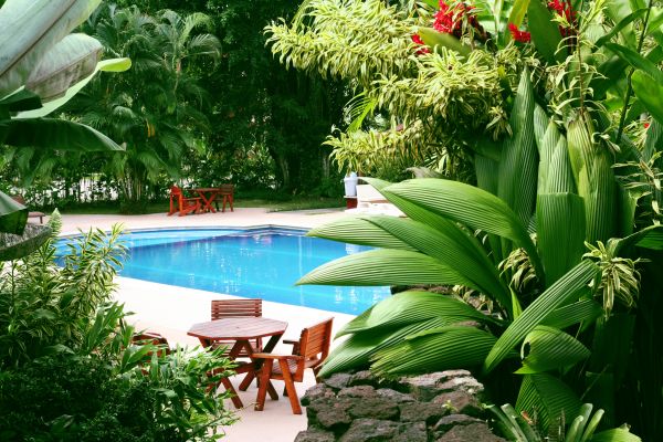 Pool Area Landscaping in Fort Myers
