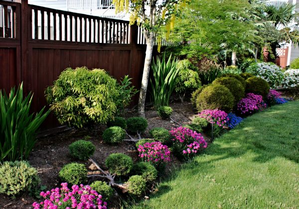 Garden Bed Construction in Fort Myers