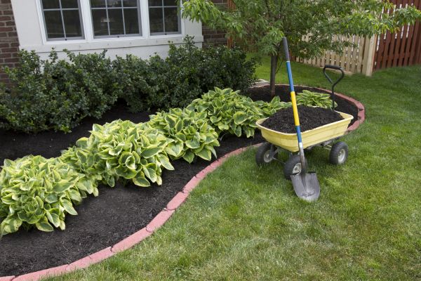 Landscape Mulching in Fort Myers