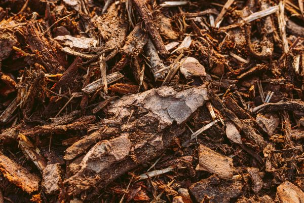Bark Mulch Delivery in Fort Myers