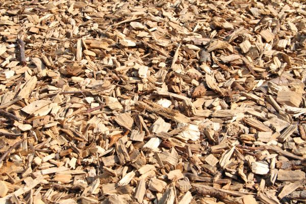 Wood Mulch Delivery in Fort Myers