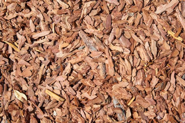 Pine Mulch Spreading in Fort Myers