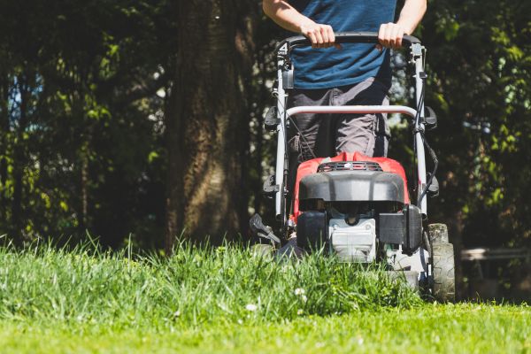 Garden Trimming Service in Fort Myers