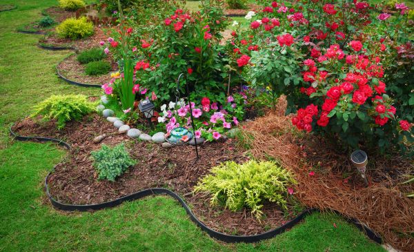 Floral Landscaping in Fort Myers