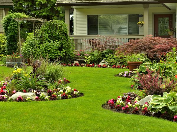 Flower Garden Planting in Fort Myers