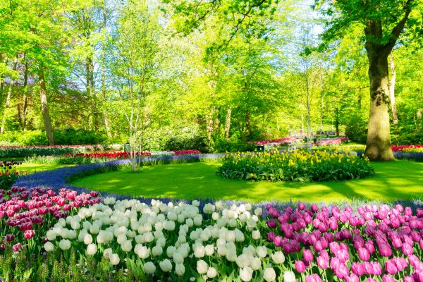 Flower Landscaping in Fort Myers