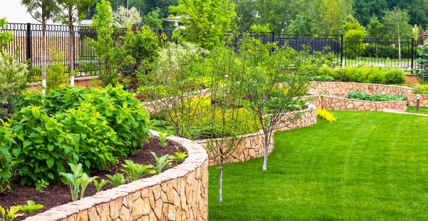 Yard Makeover Service in Fort Myers