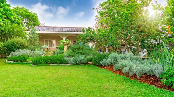 Greenery Planting in Fort Myers