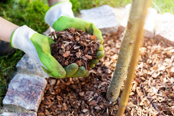 Tree Bark Delivery in Fort Myers