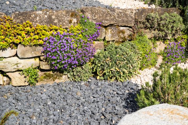 Landscaping Rocks Installation in Fort Myers