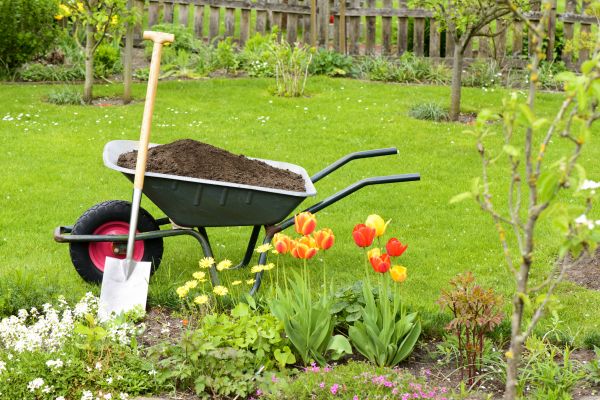 Spring Yard Renovation in Fort Myers