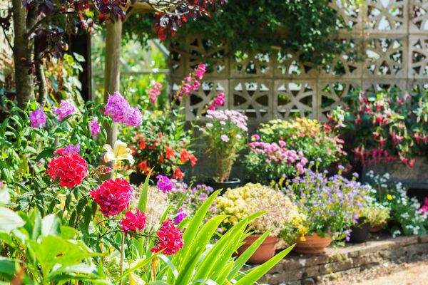 Spring Garden Maintenance in Fort Myers