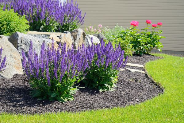 Landscape Planting Service in Fort Myers