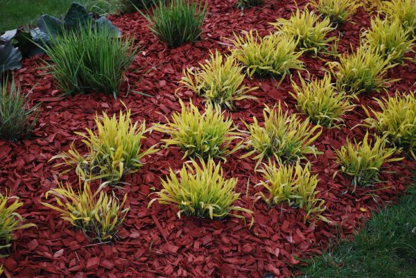 Red Mulch Installation in Fort Myers