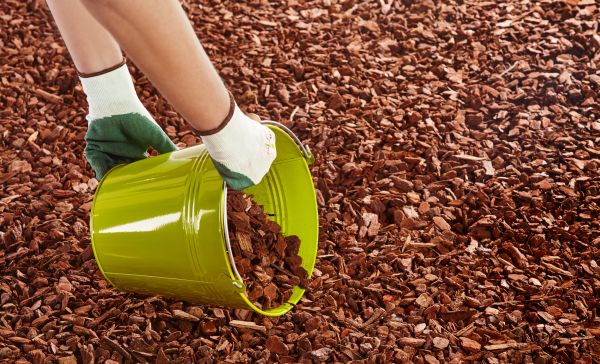 Wood Chip Landscaping in Fort Myers