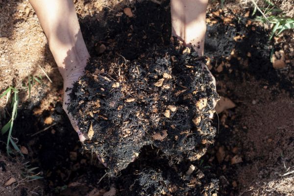 Organic Mulch Installation in Fort Myers