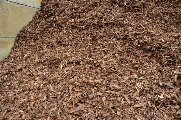 Organic Mulch Delivery in Fort Myers