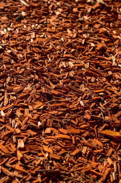 Cedar Mulch Spreading in Fort Myers
